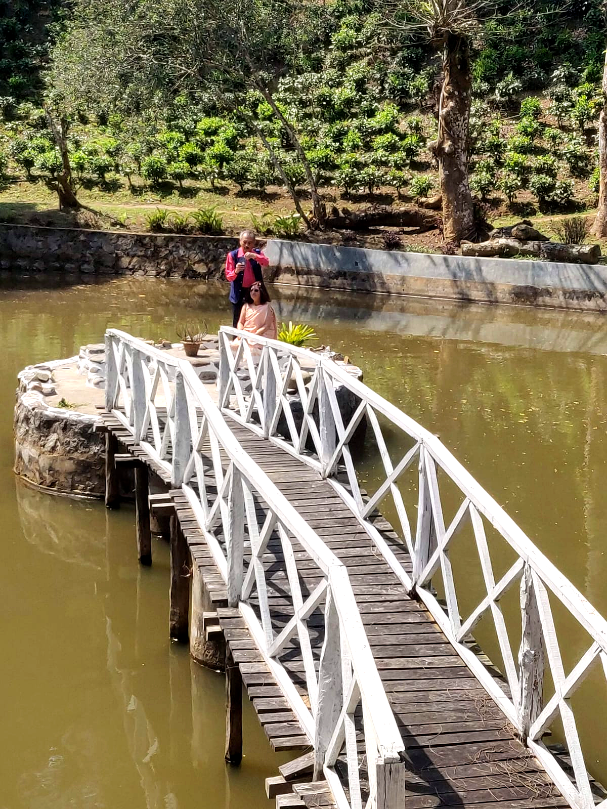  Ra Palei — photo 2