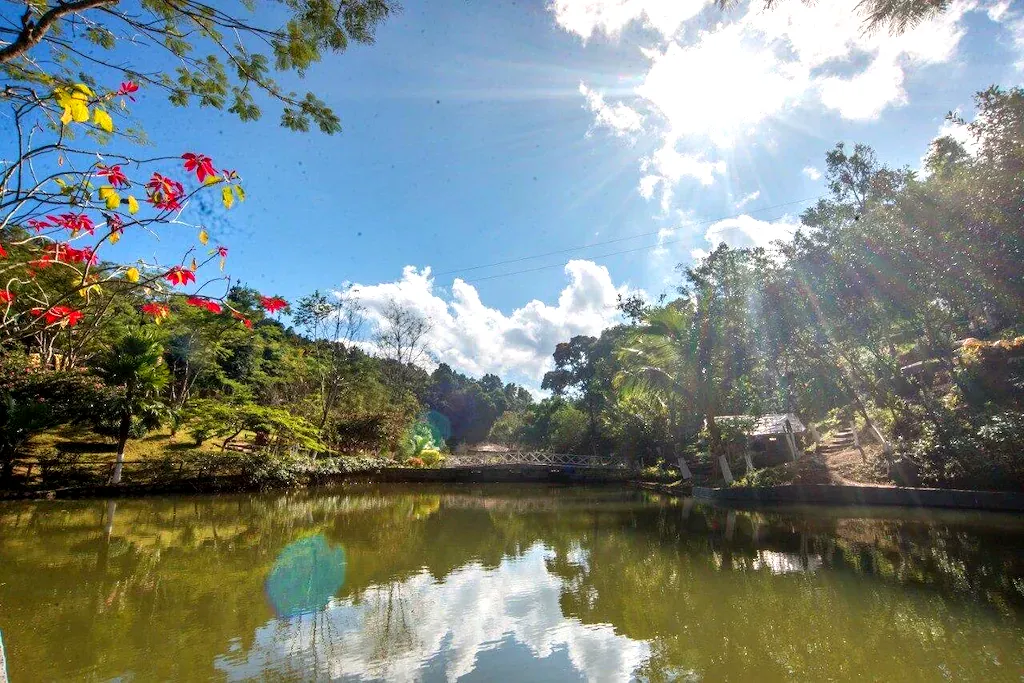  Ra Palei — photo 5