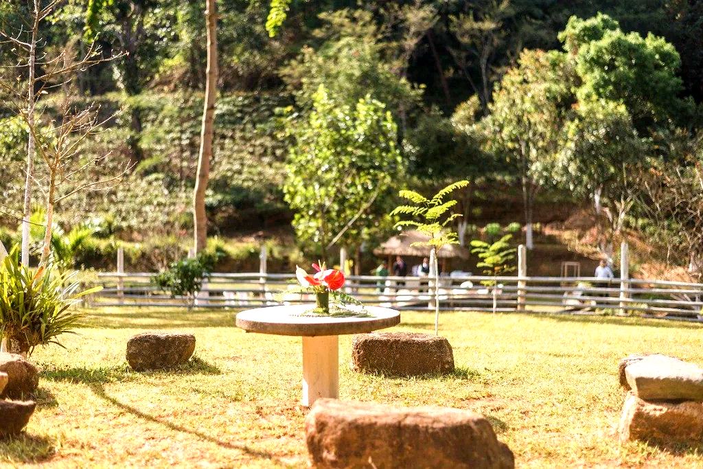  Ra Palei — photo 6