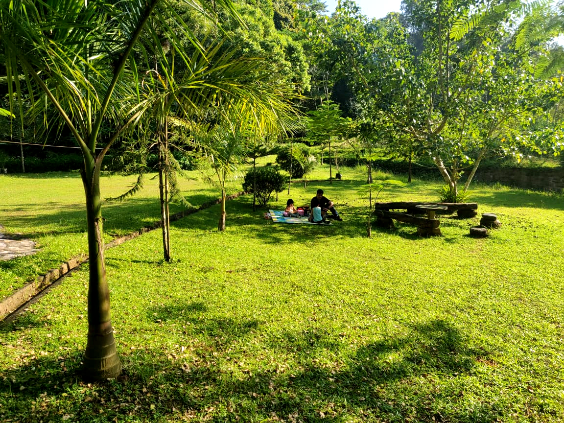  Ra Palei — photo 7